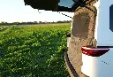 Moskitonetz SC-T7.webp
